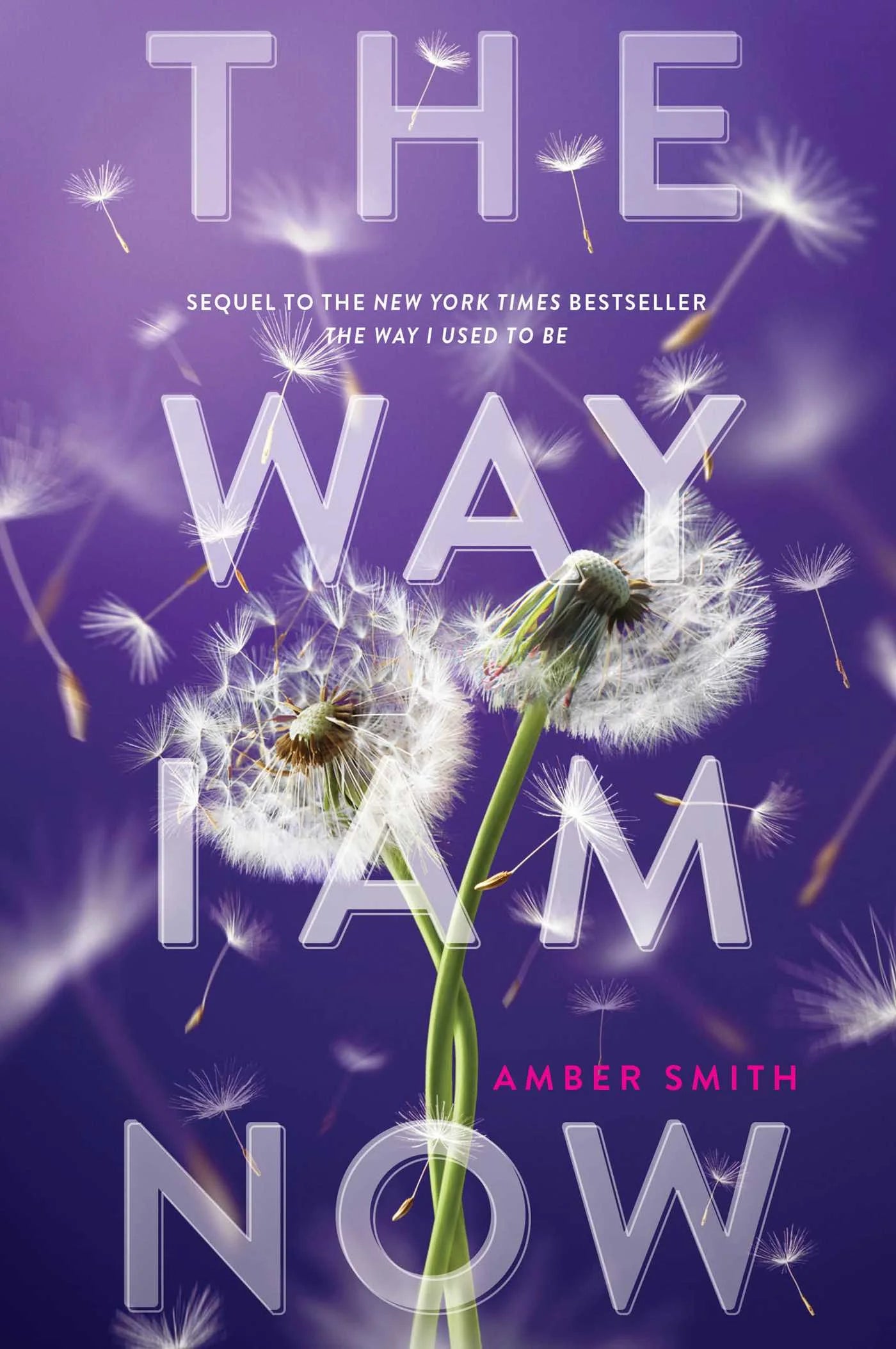 The Way I Am Now By Amber Smith