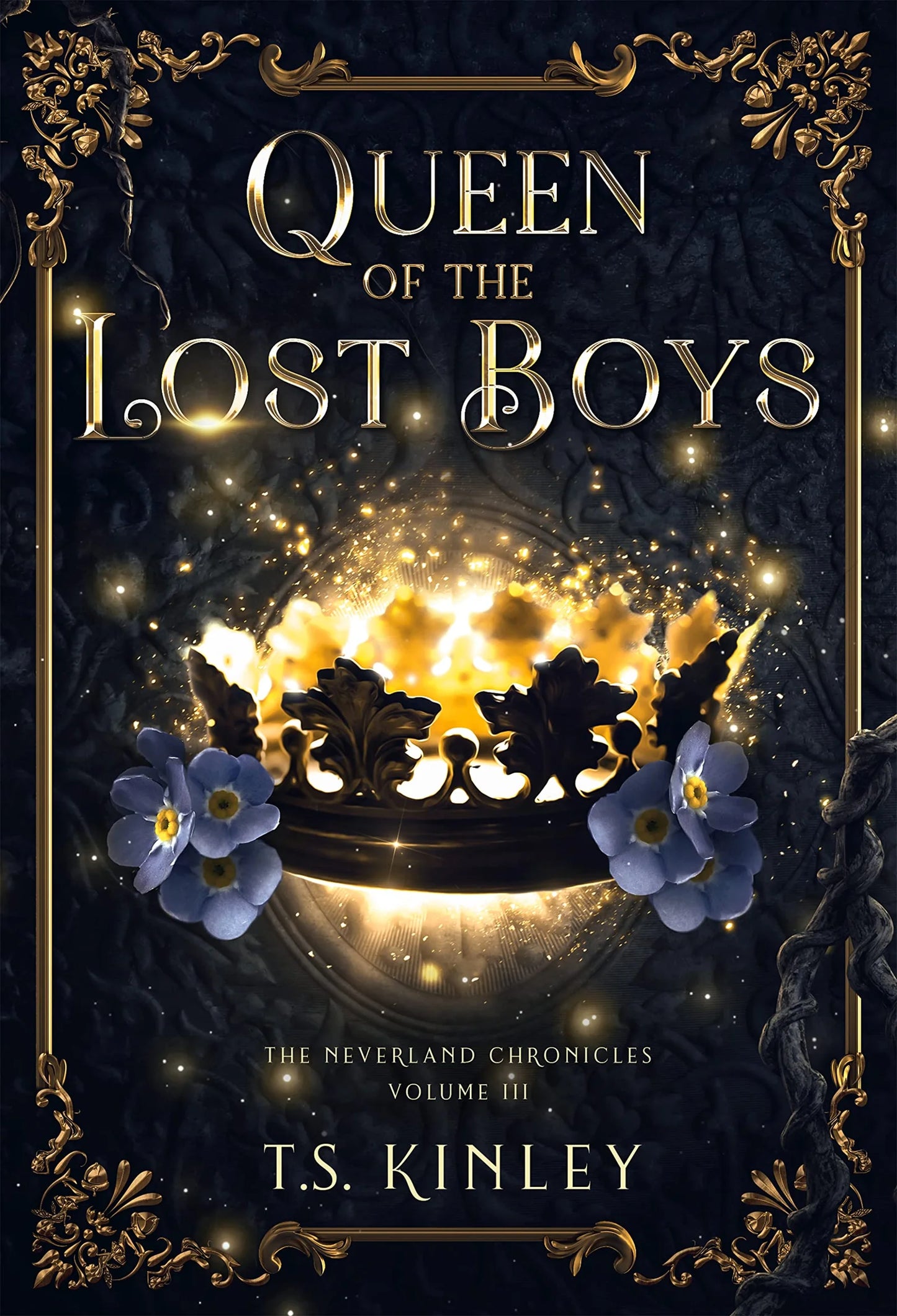 Queen of the Lost Boys By T.S. Kinley