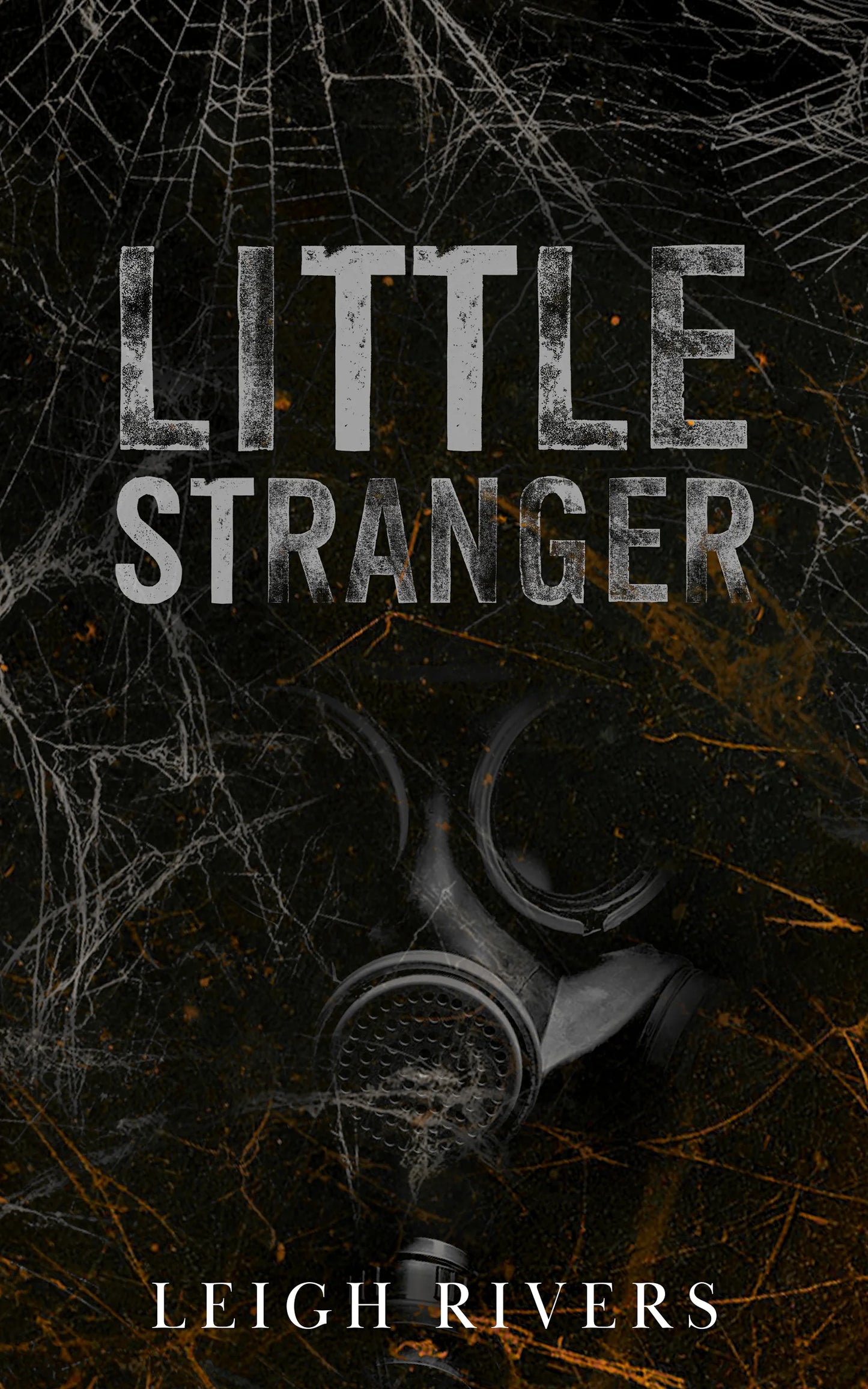 Little Stranger By Leigh Rivers