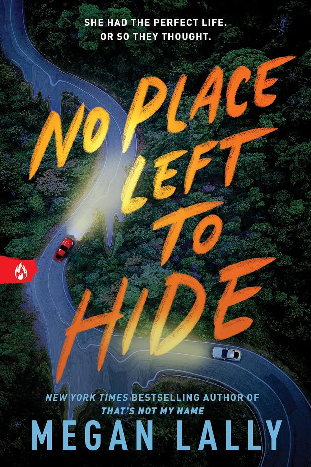No Place Left to Hide By Megan Lally