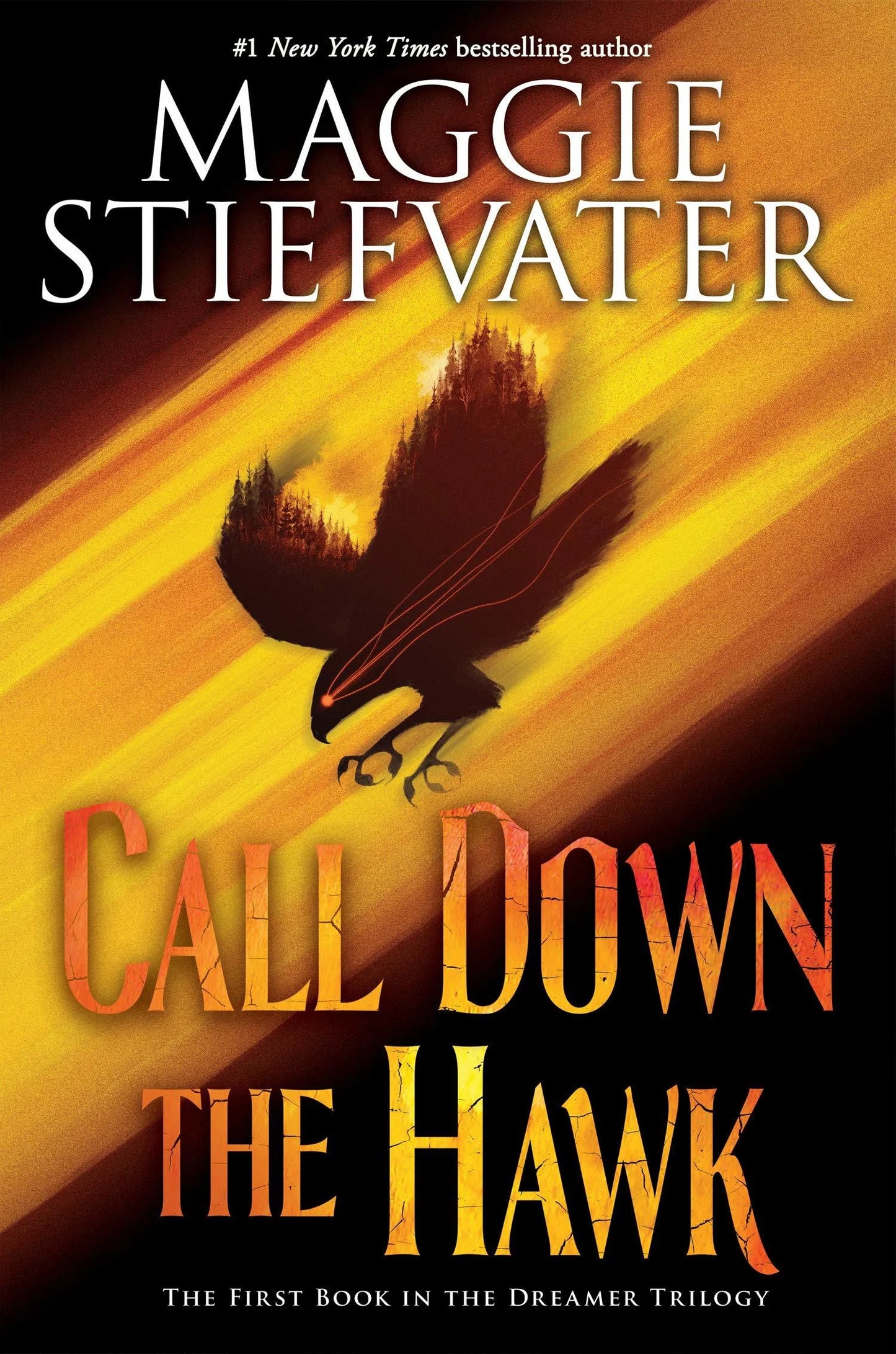 Call Down the Hawk By Maggie Stiefvater