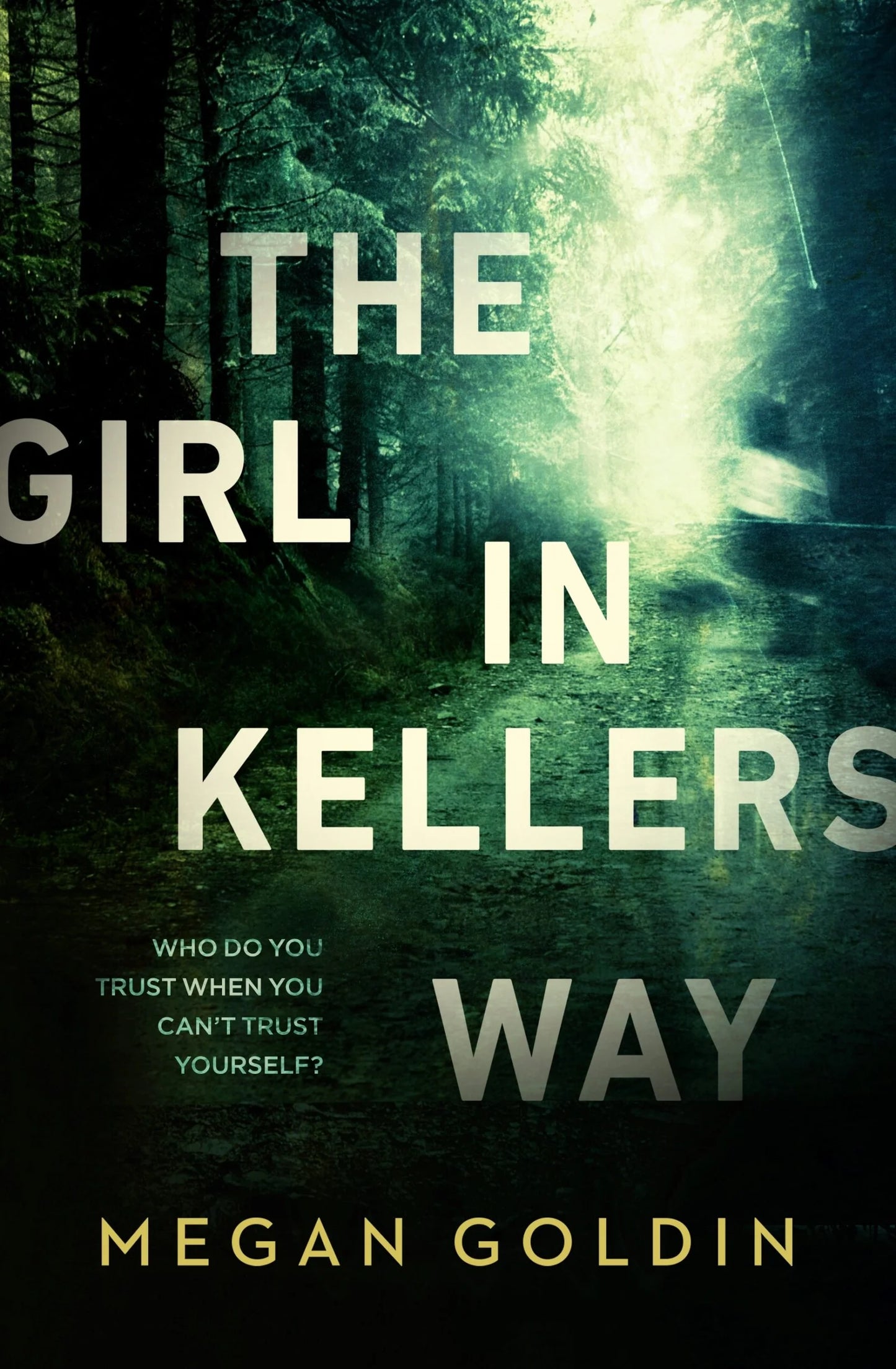 The Girl in Kellers Way By Megan Goldin