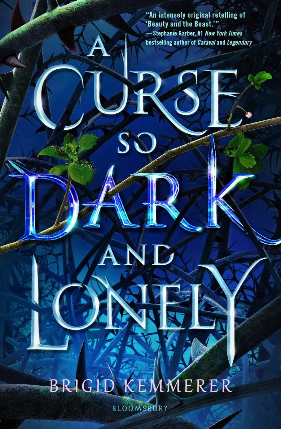 A Curse So Dark and Lonely By Brigid Kemmerer