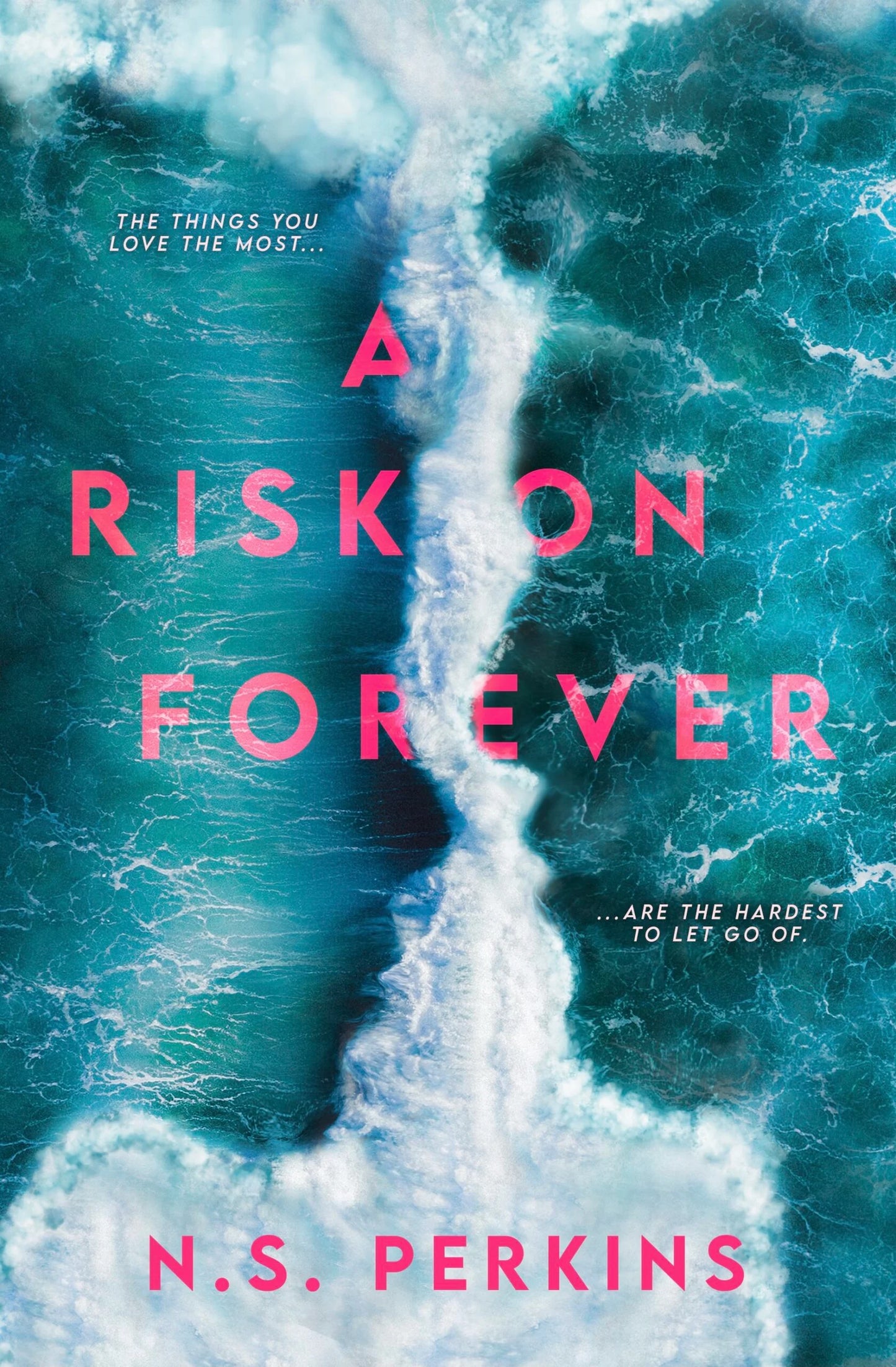 A Risk on Forever By N.S. Perkins