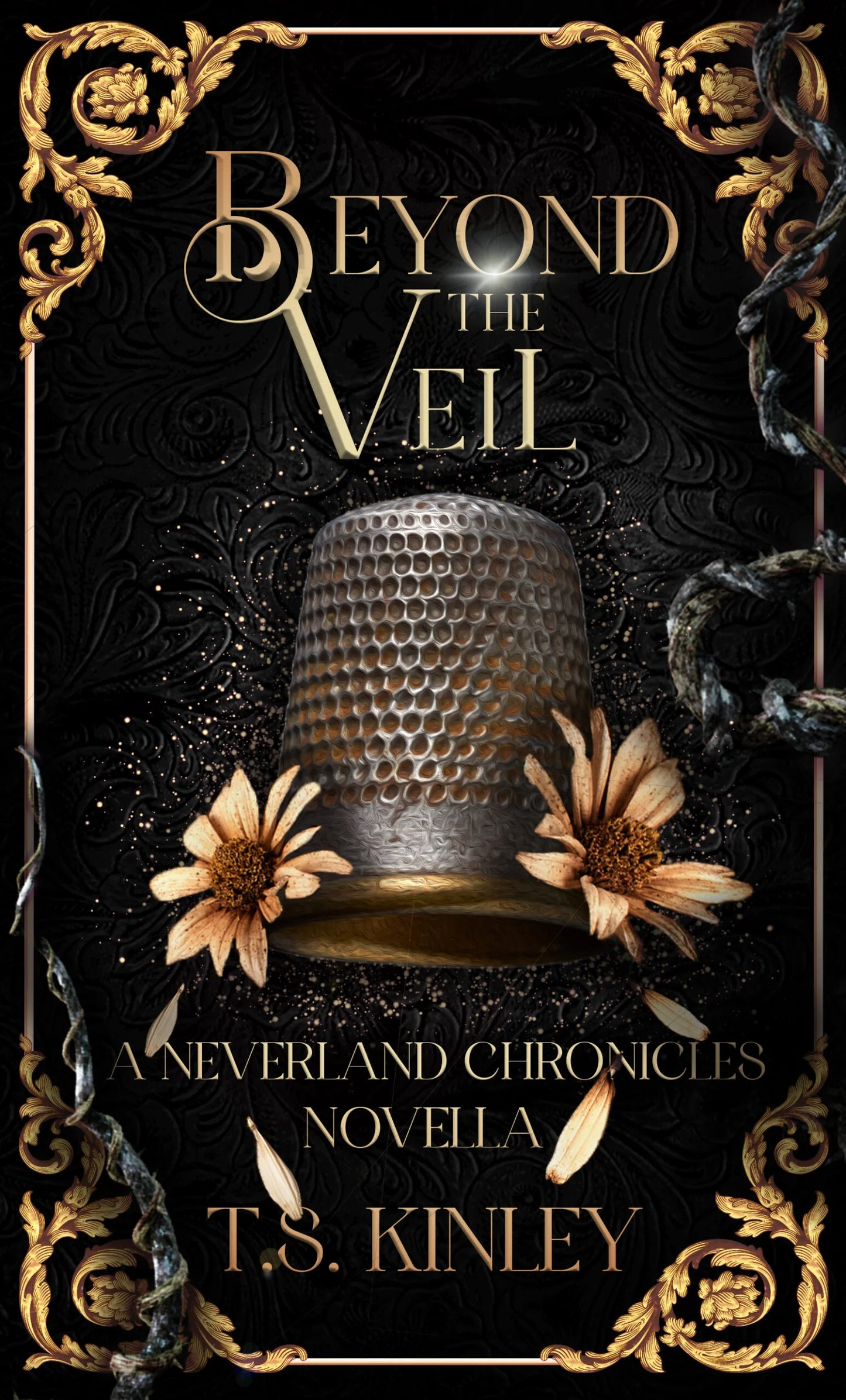 Beyond the Veil By T.S. Kinley