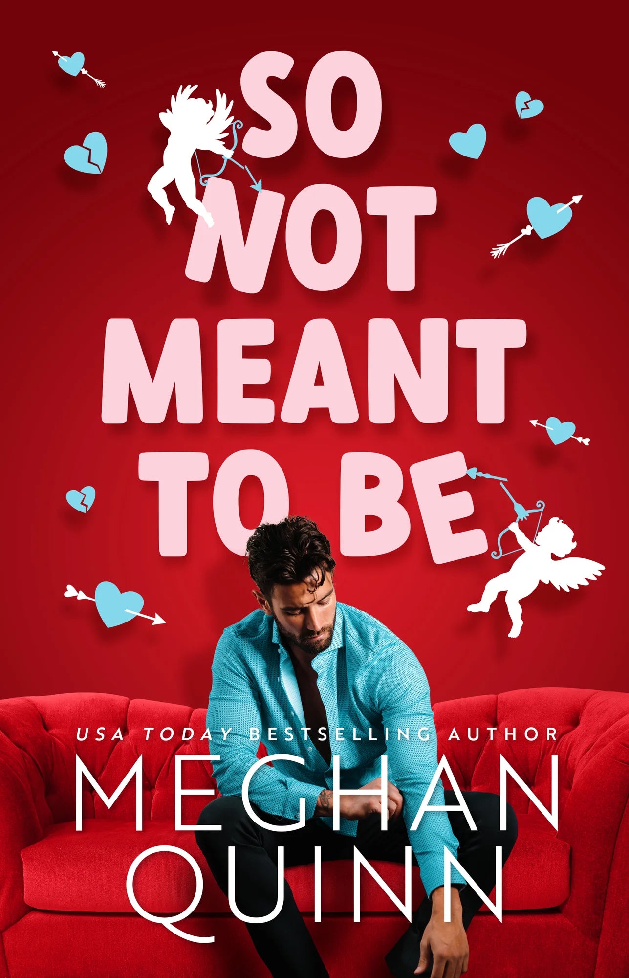 So Not Meant To Be By Meghan Quinn