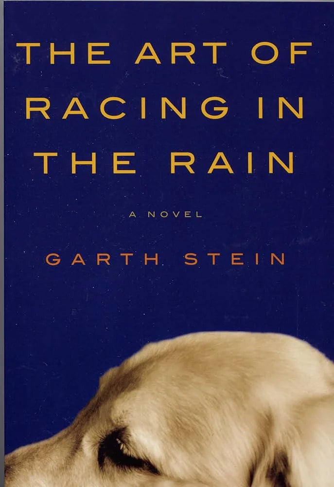 The Art of Racing in the Rain By Garth Stein