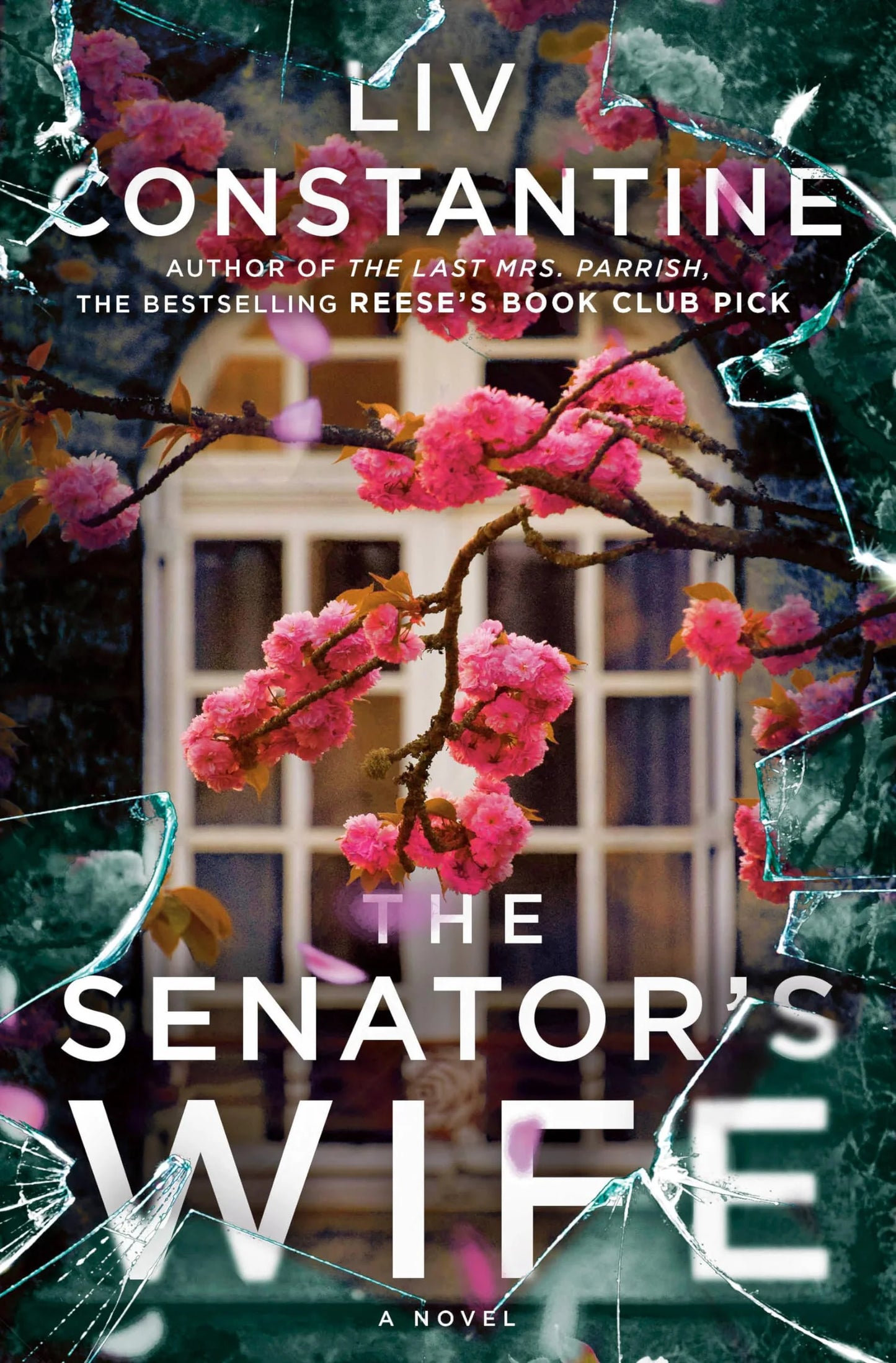 The Senator’s Wife By Liv Constantine