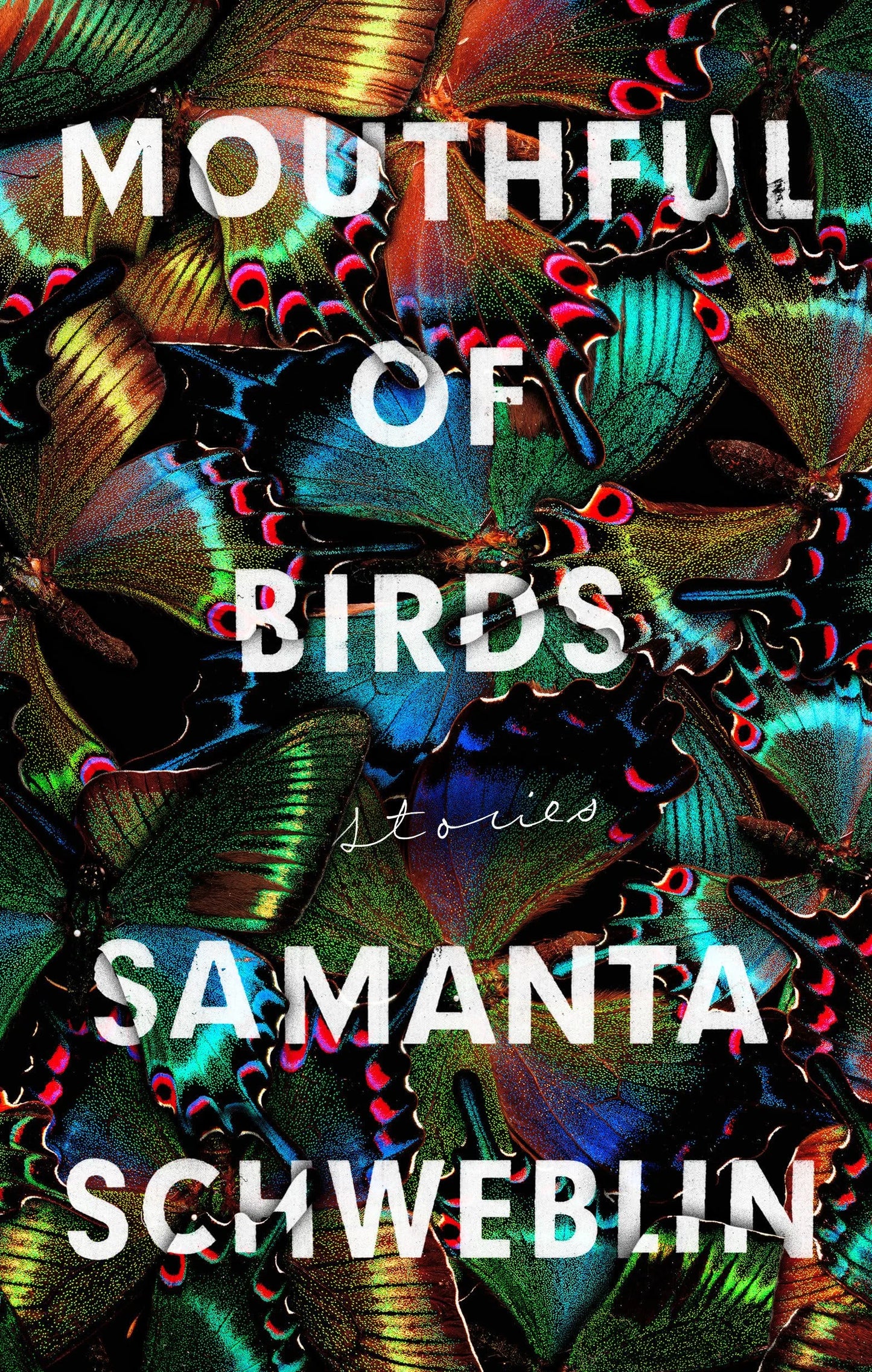 Mouthful of Birds By Samanta Schweblin