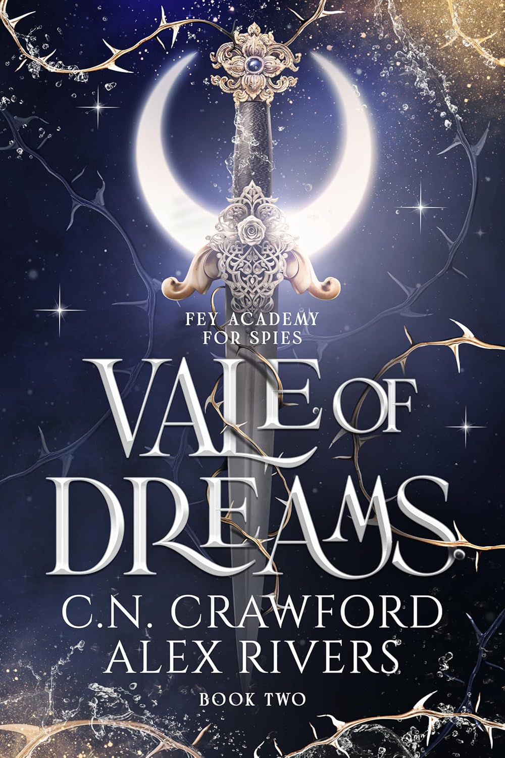 Vale of Dreams (Fey Spy Academy, #2) by Alex Rivers