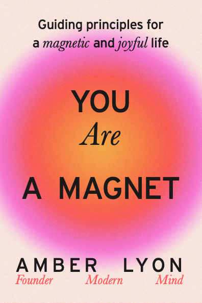 You Are a Magnet by Amber Lyon