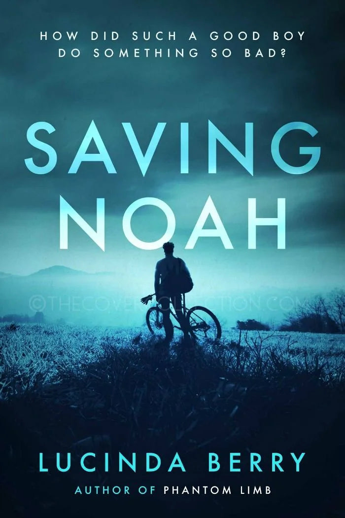 Saving Noah By Lucinda Berry