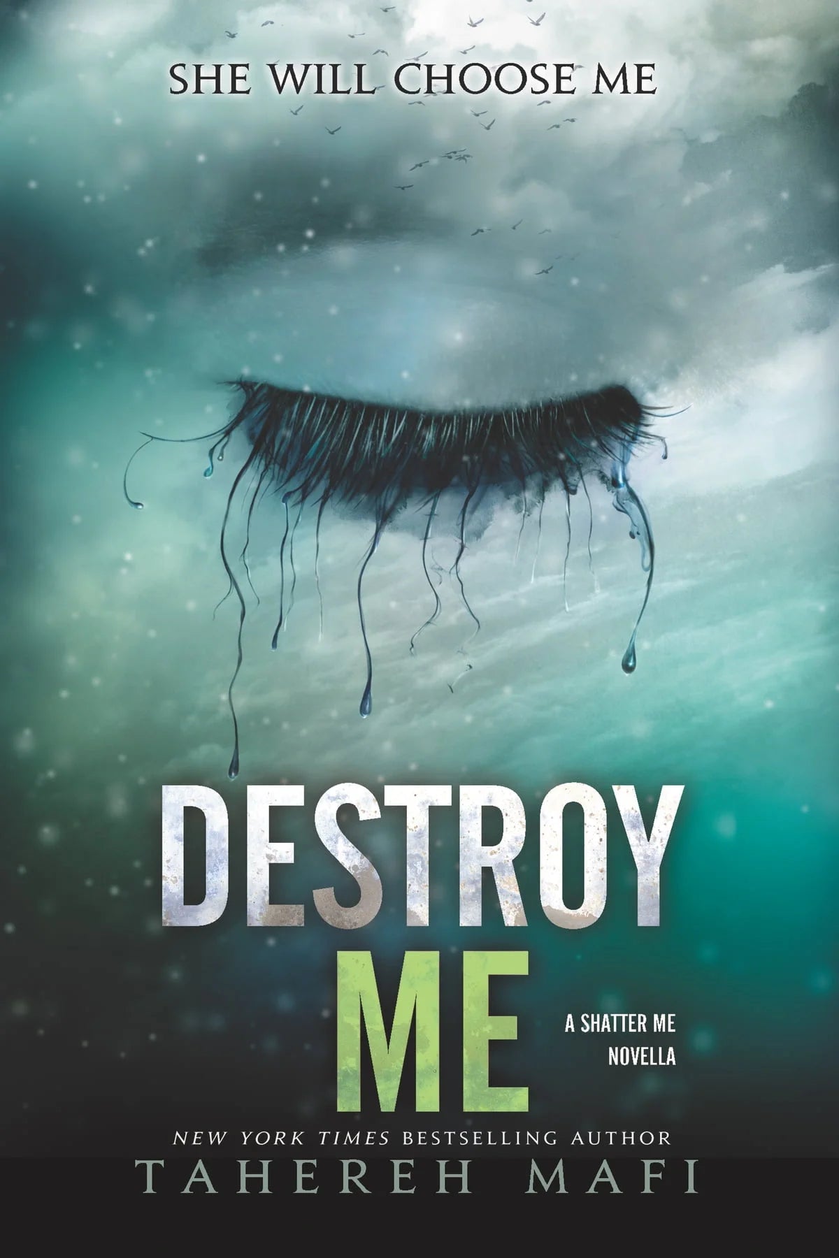 Destroy Me By Tahereh Mafi