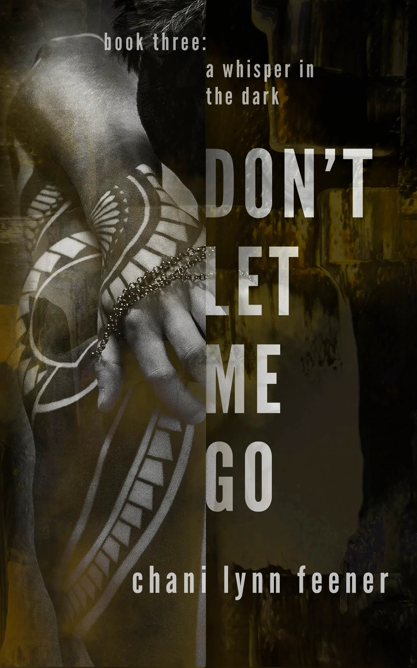 Don’t Let Me Go Chani Lynn Feener