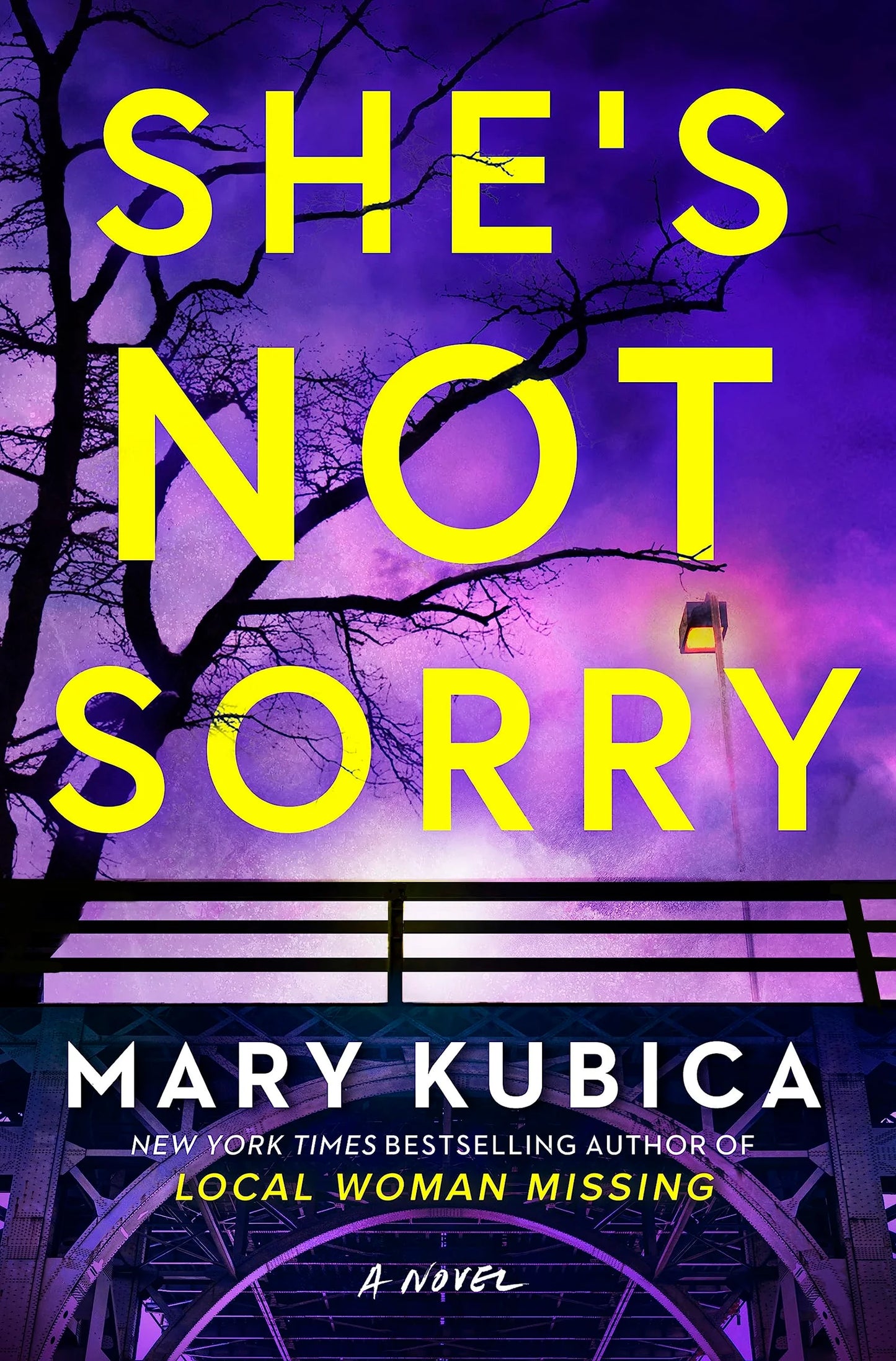She’s Not Sorry By Mary Kubica