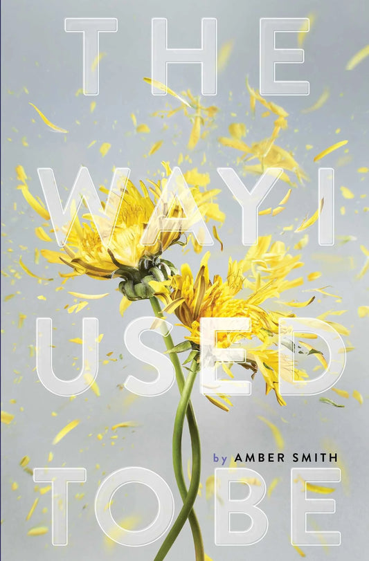 The Way I Used to Be By Amber Smith