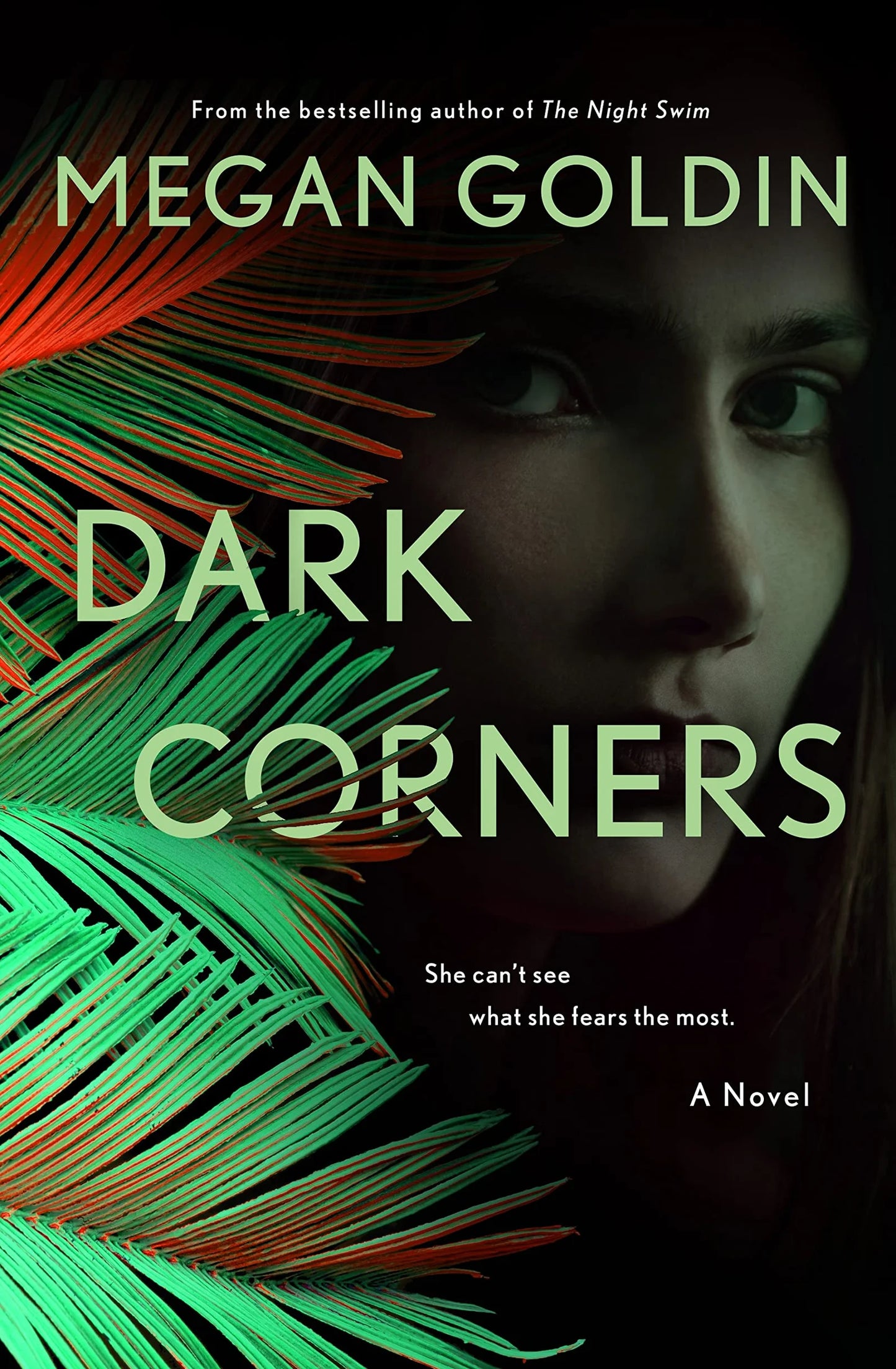 Dark Corners Megan Goldin
