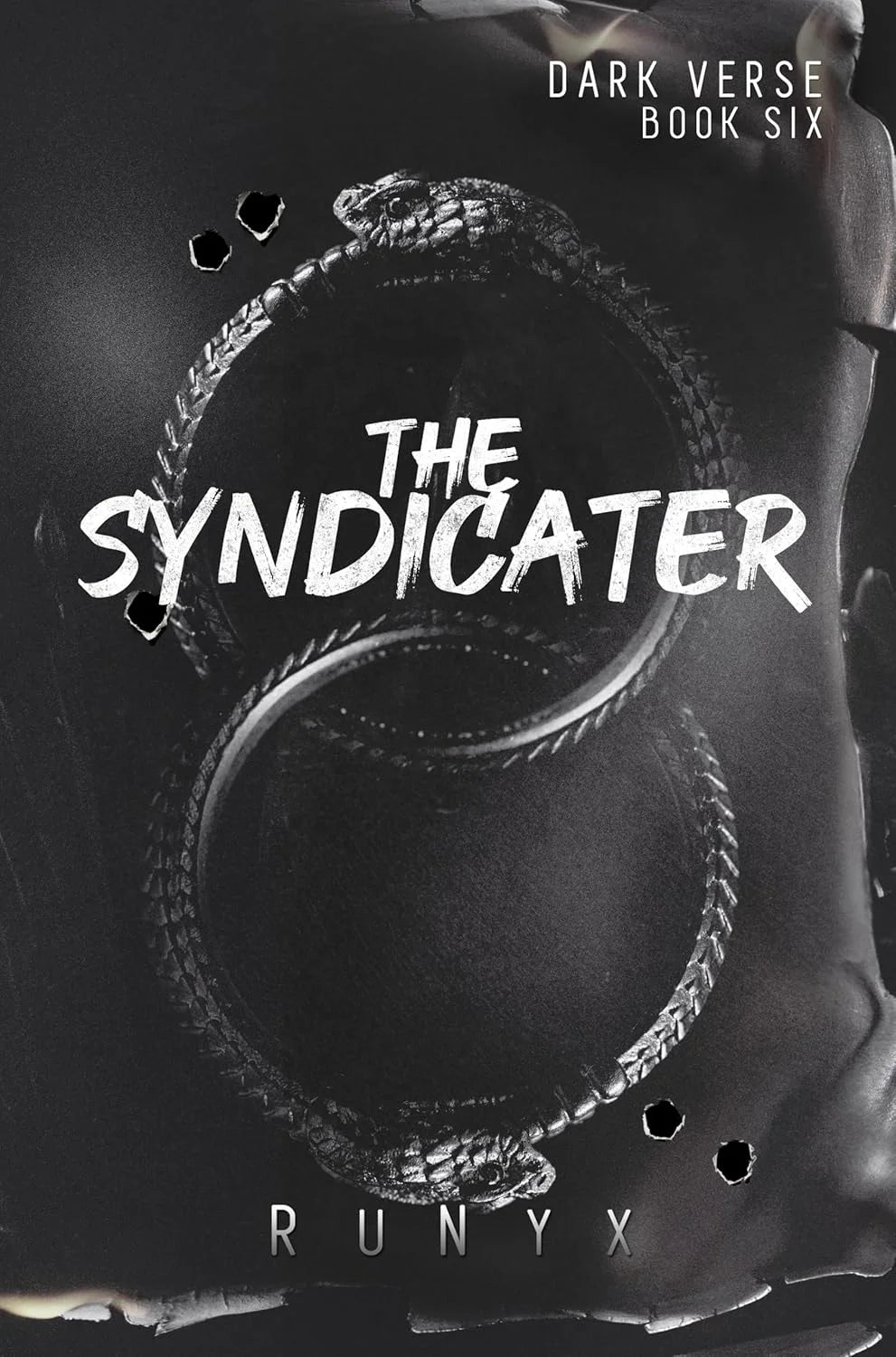 The Syndicater (Dark Verse Book 6)