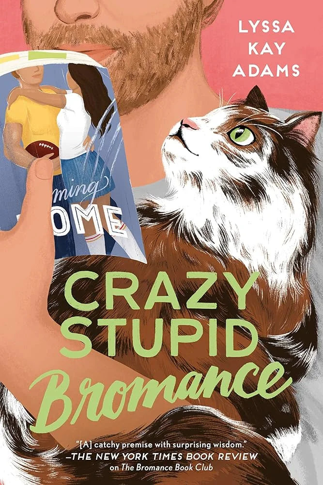 Crazy Stupid Bromance By Lyssa Kay Adams