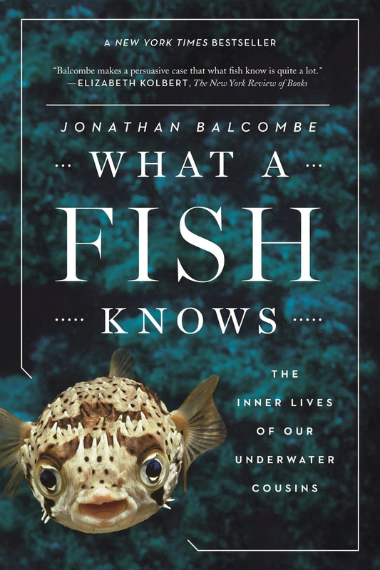 What a Fish Knows By Jonathan Balcombe