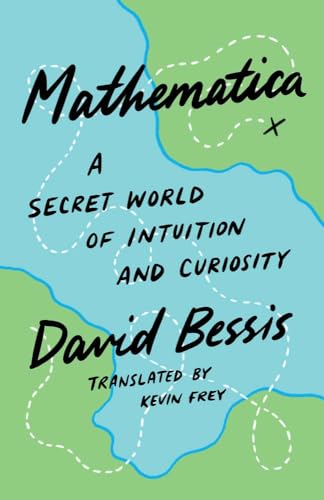 A Secret World of Intuition and Curiosity by David Bessis