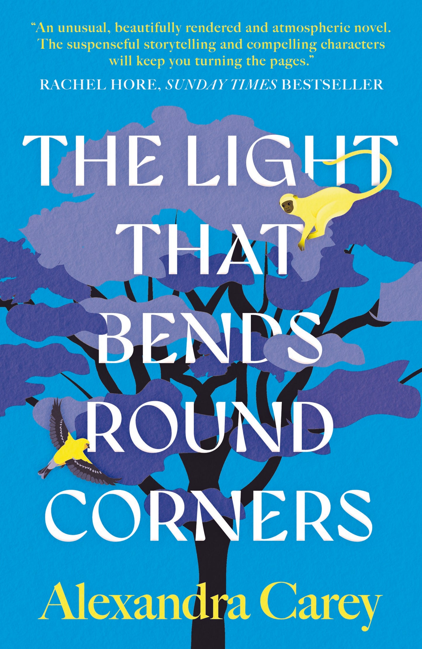 The Light That Bends Round Corners by Alexandra Carey