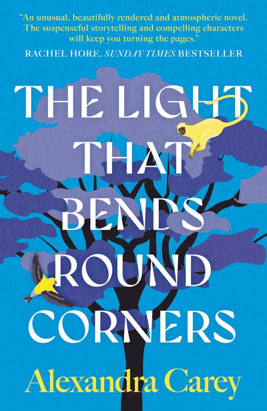 The Light That Bends Round Corners by Alexandra Carey