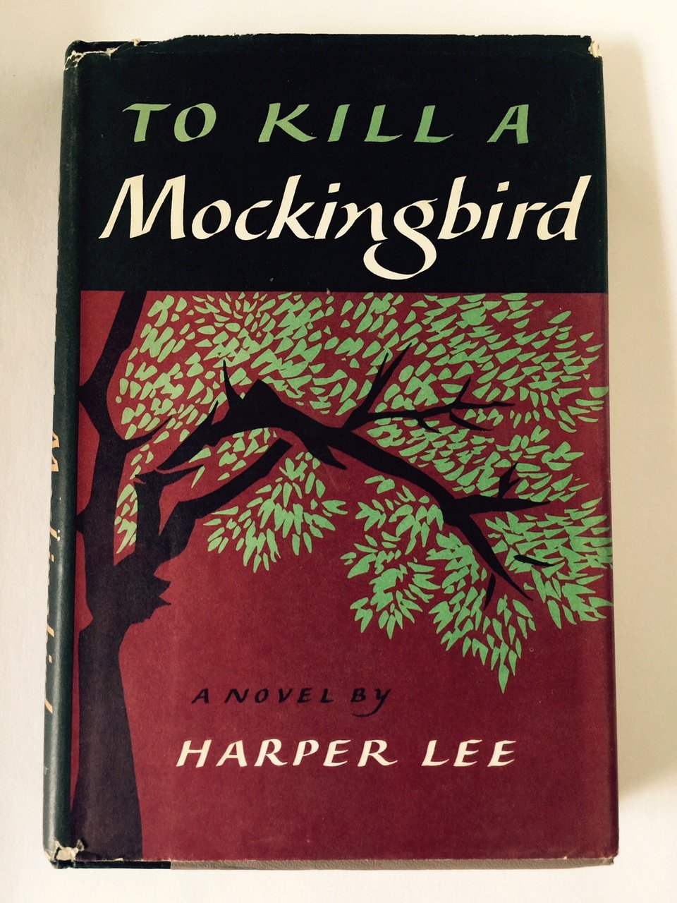 To Kill a Mocking Bird by Harper Lee