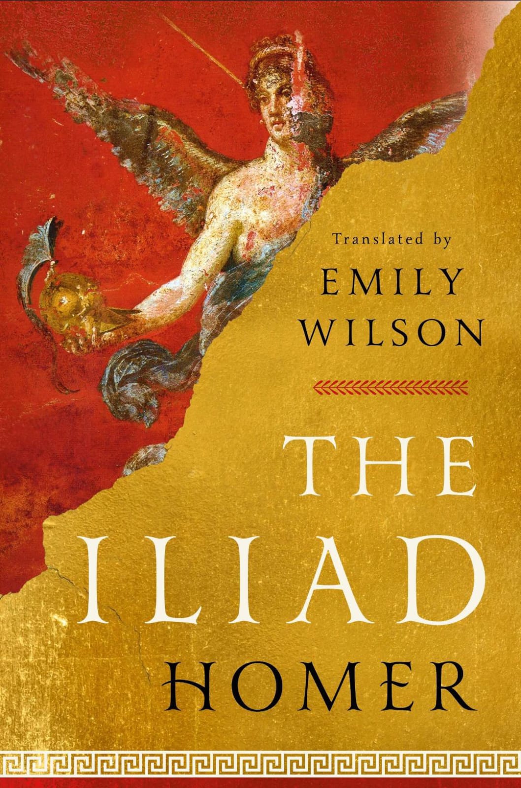 The Iliad by Homer translated by Emily wilson