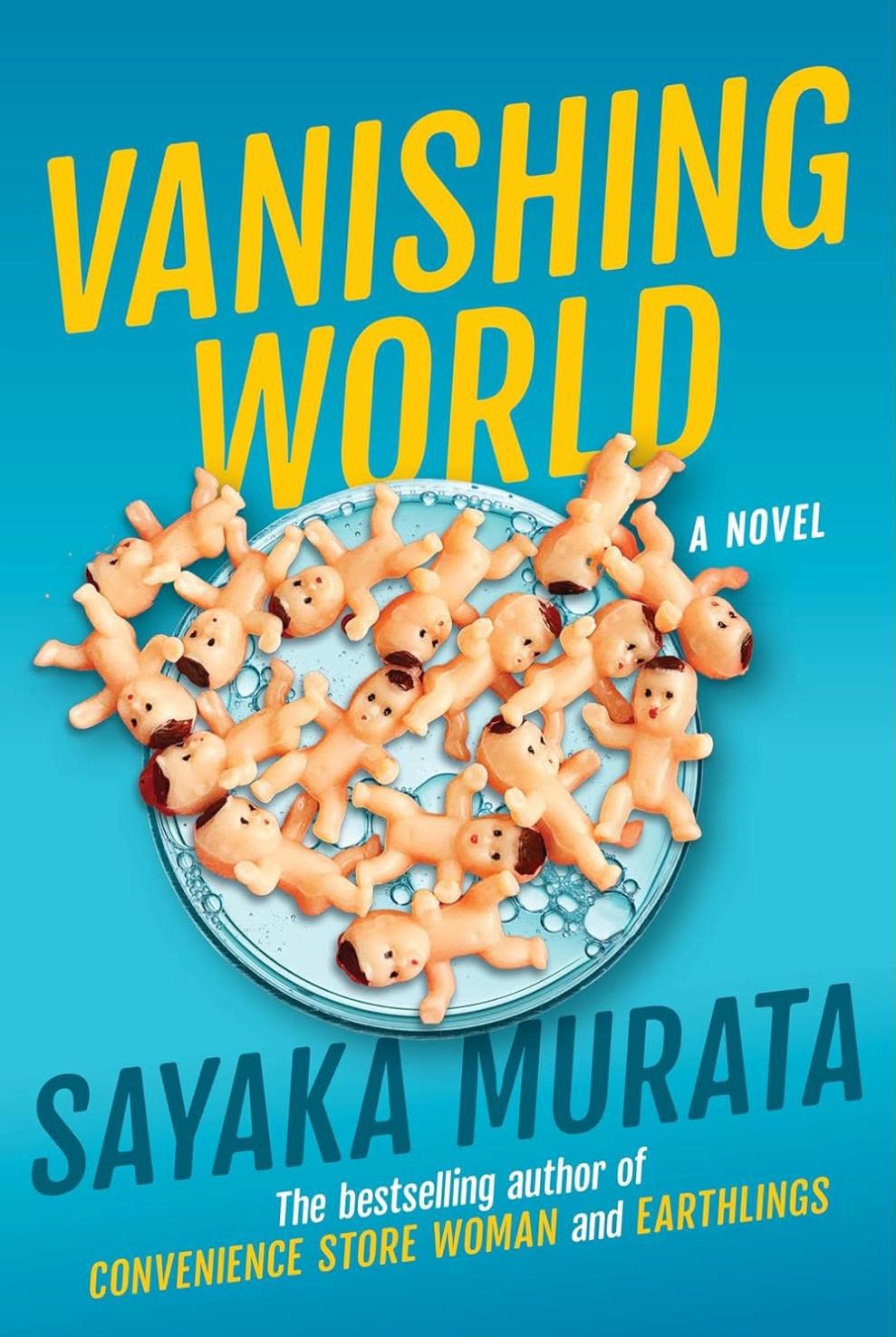 Vanishing World by Sayaka Murata